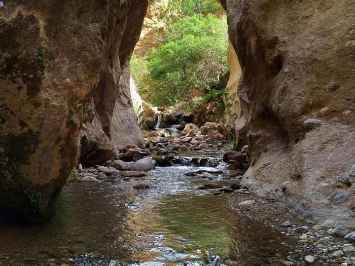 Albergue La Paz De Las Alpujarras Padules ภายนอก รูปภาพ